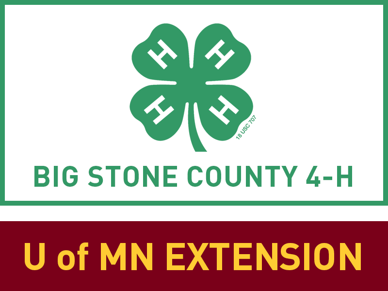 Logo for 2024 Big Stone County Fair
