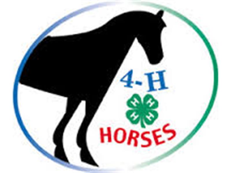 Logo for 2024 Custer / Fall River / Pennington County Horse Show