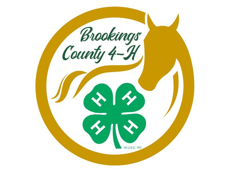 Logo for 2024 Brookings County Horse Show