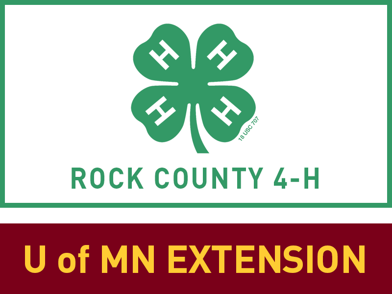 Logo for 2024 Rock County Fair