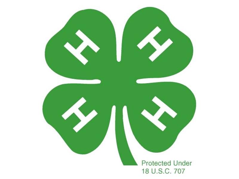 Logo for 2025 Calhoun County 4-H Fair