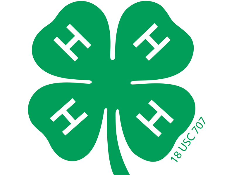 Logo for 2025 Champaign County 4-H Fair