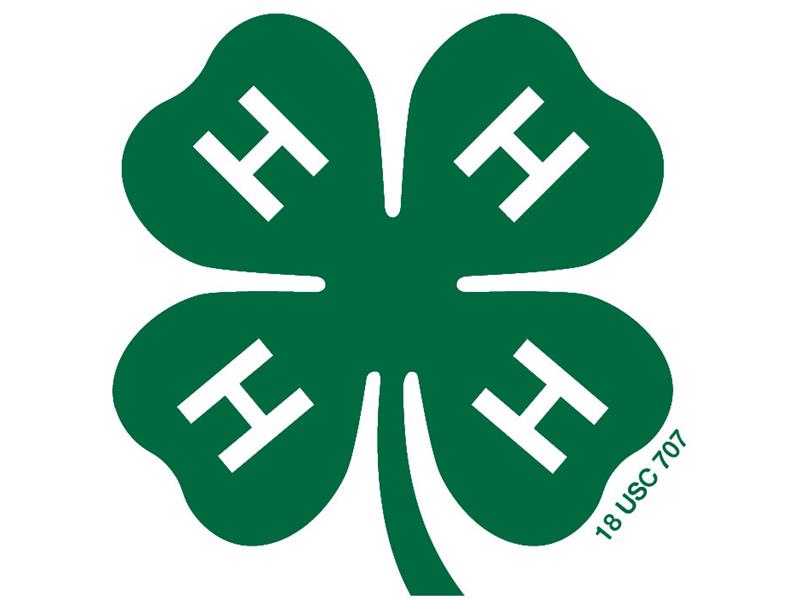 Logo for 2025 Mason County 4-H Show