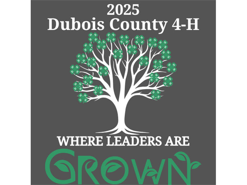 Logo for 2025 Dubois County 4-H Fair
