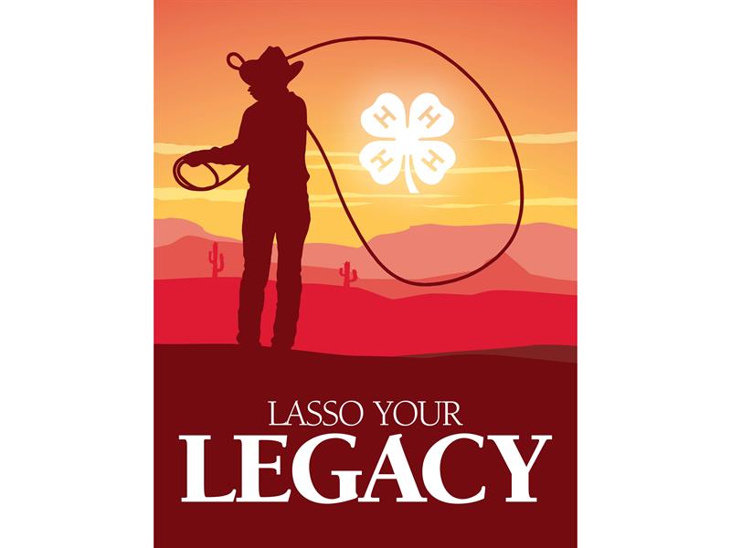 Logo for 2025 Carroll County Fair