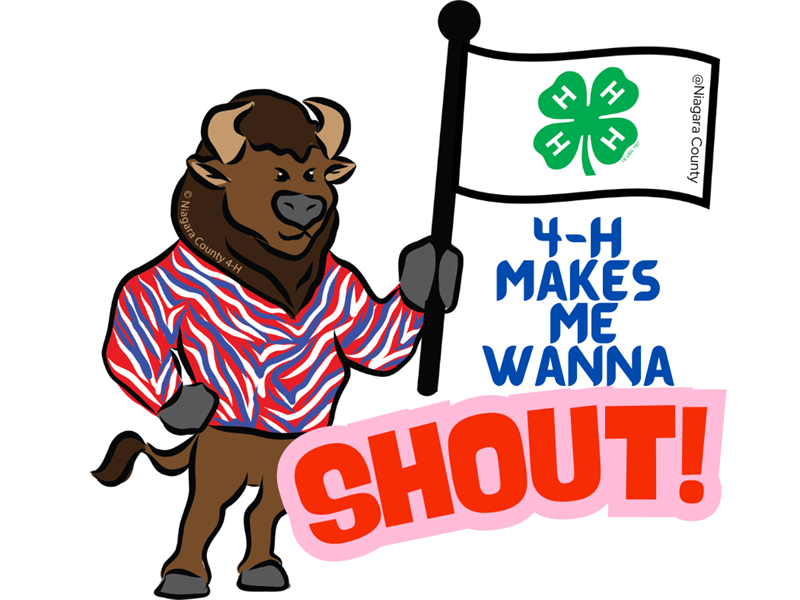 Logo for 2025 Niagara County Fair