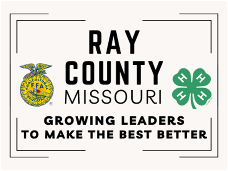Logo for 2025 Ray County Fair