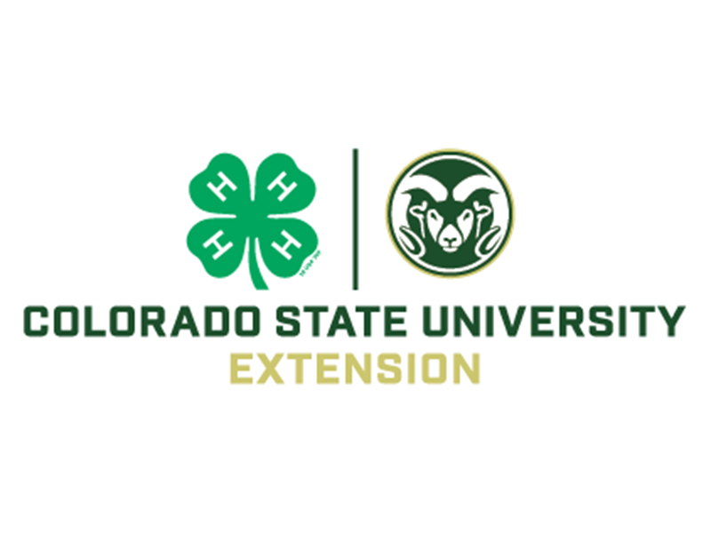 Logo for 2025 Colorado 4-H State Fair