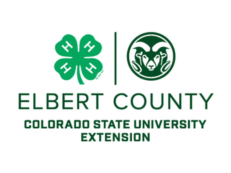 Logo for 2025 Elbert County Fair