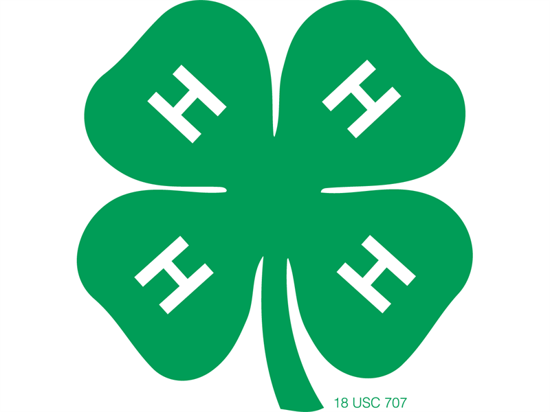 Logo for 2025 Pembina County Fair