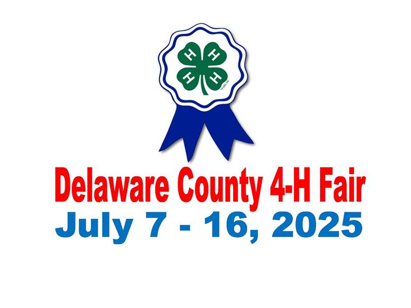 Logo for 2025 Delaware County Fair