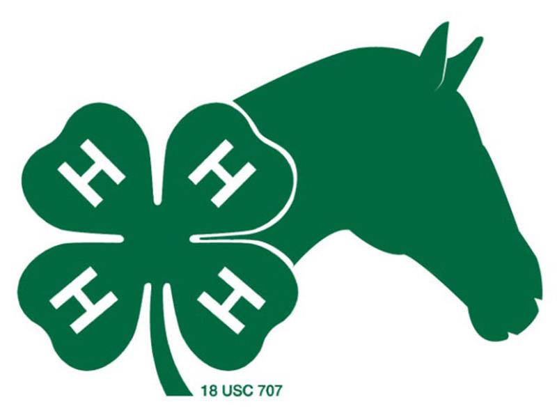 Logo for 2025 Northwest District Horse Show
