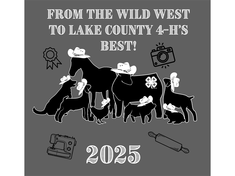 Logo for 2025 Lake County Achievement Days