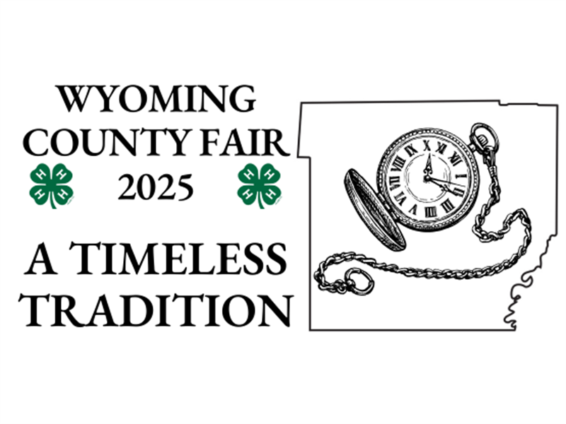 Logo for 2025 Wyoming County Fair