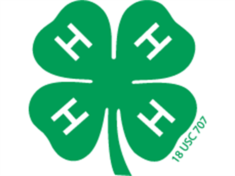 Logo for 2026 Fayette County Fair