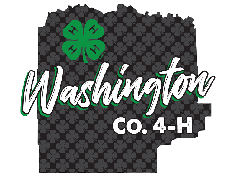 Logo for 2026 Washington County Fair