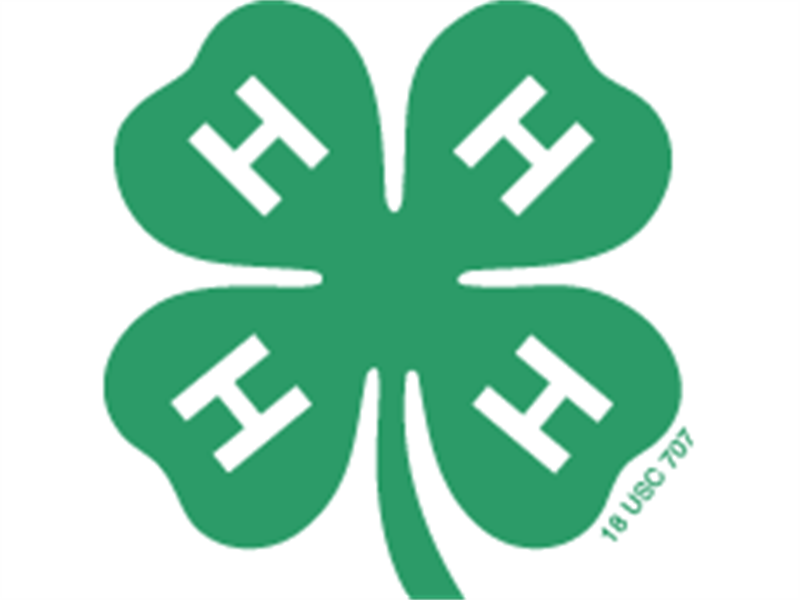 Logo for 2026 Chemung County 4-H Exhibition