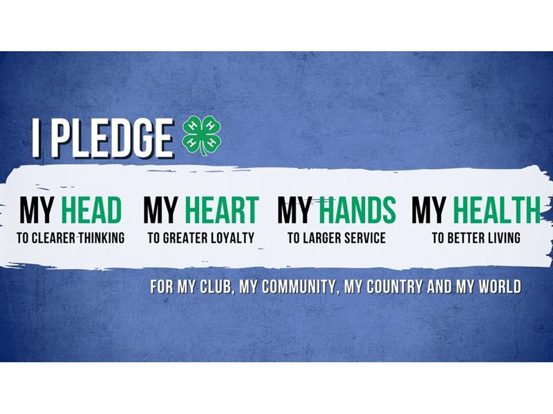 Logo for 2026 McCook County Achievement Days