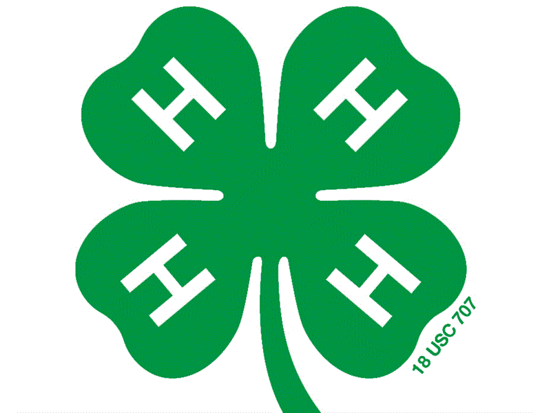 Logo for 2026 Bowman County Fair