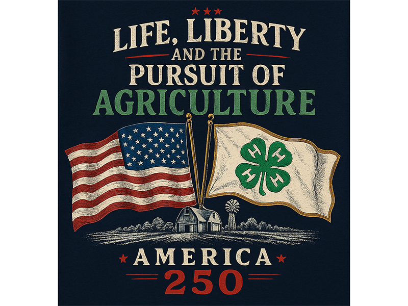 Logo for 2026 4-H Youth Development- SchaghticokeFair