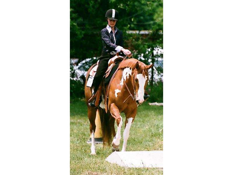 Logo for 2026 Qualifying Horse Show