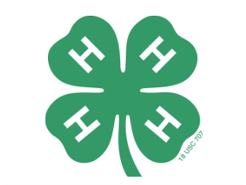 Logo for 2026 Harney County 4-H Fair