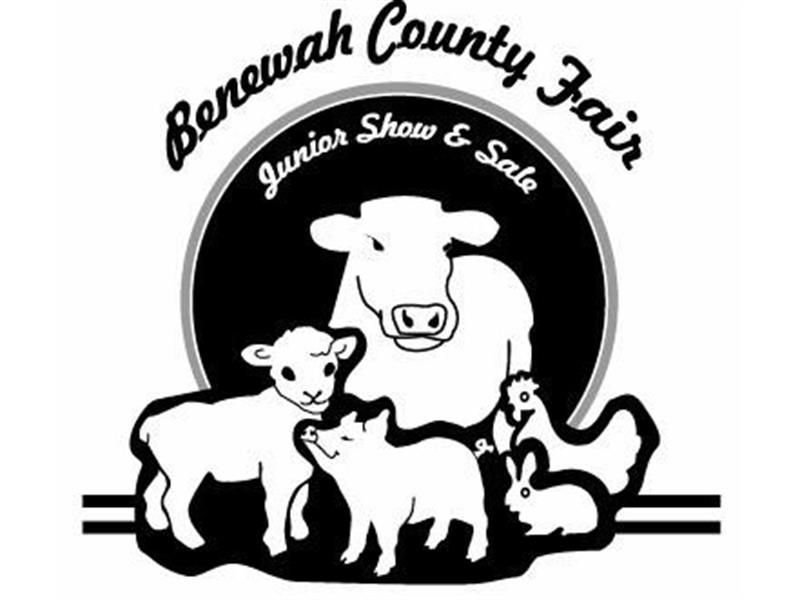 Logo for 2026 Junior Show and Sale